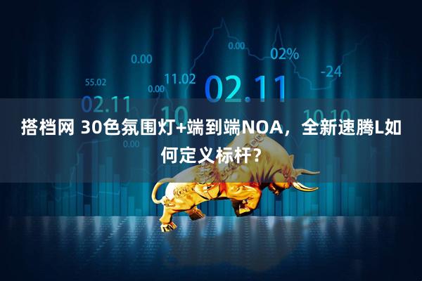 搭档网 30色氛围灯+端到端NOA，全新速腾L如何定义标杆？