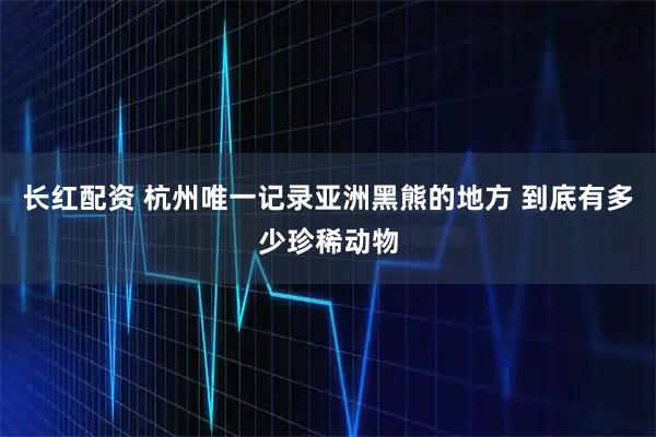 长红配资 杭州唯一记录亚洲黑熊的地方 到底有多少珍稀动物
