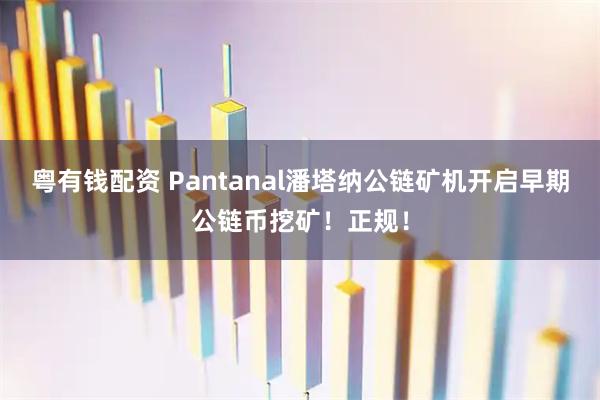 粤有钱配资 Pantanal潘塔纳公链矿机开启早期公链币挖矿!正规!